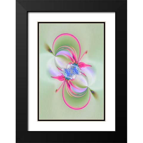 Columbine flower-Colorado Black Modern Wood Framed Art Print with Double Matting by Jones, Adam