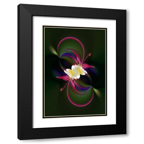 Columbine flower-Colorado Black Modern Wood Framed Art Print with Double Matting by Jones, Adam