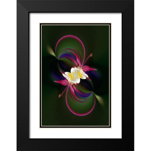 Columbine flower-Colorado Black Modern Wood Framed Art Print with Double Matting by Jones, Adam