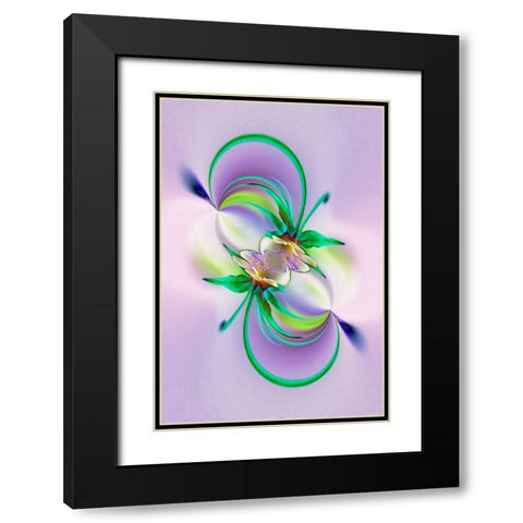 Columbine flower-Colorado Black Modern Wood Framed Art Print with Double Matting by Jones, Adam