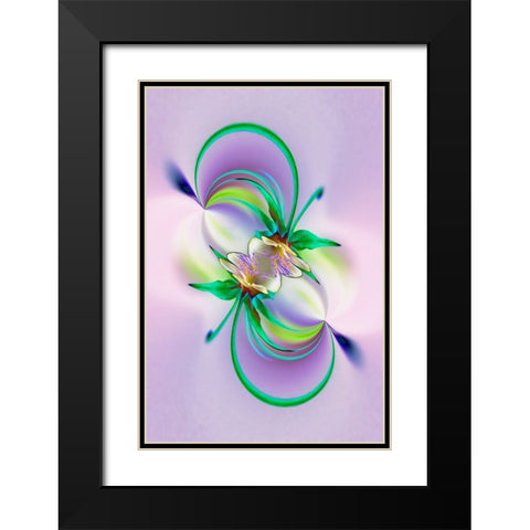Columbine flower-Colorado Black Modern Wood Framed Art Print with Double Matting by Jones, Adam