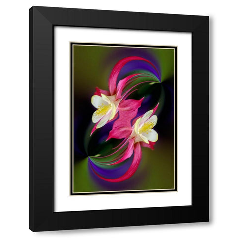 Columbine flower-Colorado Black Modern Wood Framed Art Print with Double Matting by Jones, Adam