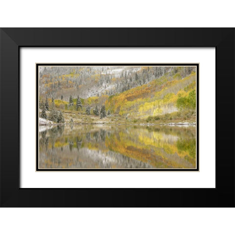 CO, Maroon Lake, Fresh snow and aspen trees Black Modern Wood Framed Art Print with Double Matting by Grall, Don