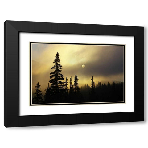 CO, San Isabel NF Sunrise silhouettes trees Black Modern Wood Framed Art Print with Double Matting by Grall, Don
