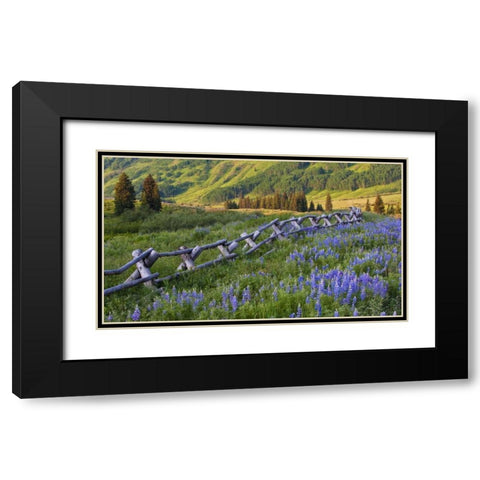 CO, Crested Butte Fence in a mountain valley Black Modern Wood Framed Art Print with Double Matting by Rotenberg, Nancy