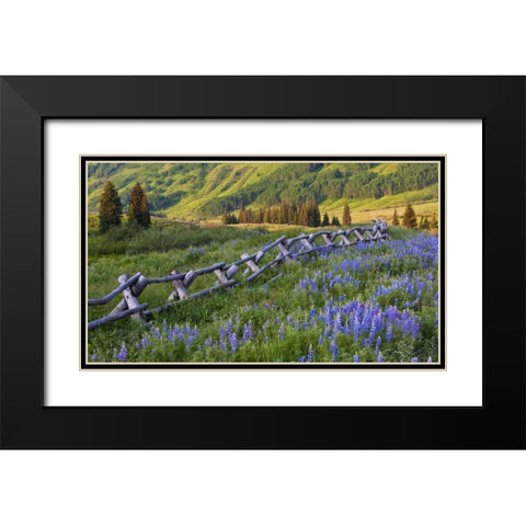 CO, Crested Butte Fence in a mountain valley Black Modern Wood Framed Art Print with Double Matting by Rotenberg, Nancy