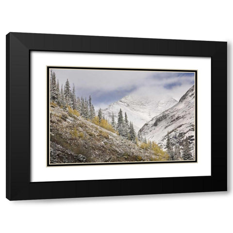CO, Rocky Mts, Cinnamon Pass Autumn snowfall, Black Modern Wood Framed Art Print with Double Matting by Grall, Don