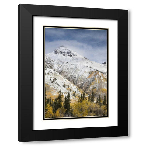 CO, Uncompahgre NF Mountain and aspens in autumn Black Modern Wood Framed Art Print with Double Matting by Grall, Don