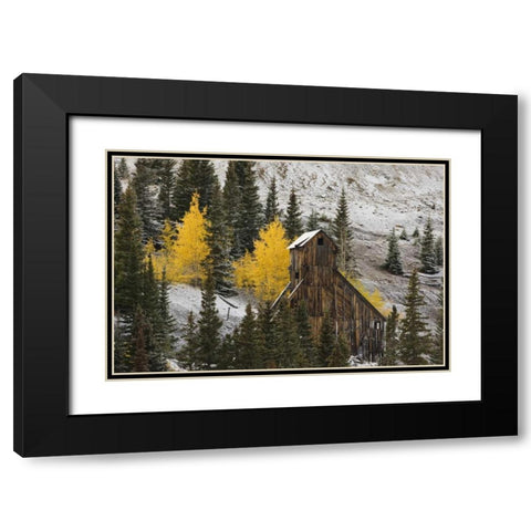 CO, Uncompahgre NF, An abandoned mine in fall Black Modern Wood Framed Art Print with Double Matting by Grall, Don