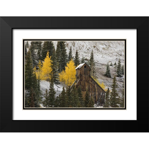 CO, Uncompahgre NF, An abandoned mine in fall Black Modern Wood Framed Art Print with Double Matting by Grall, Don