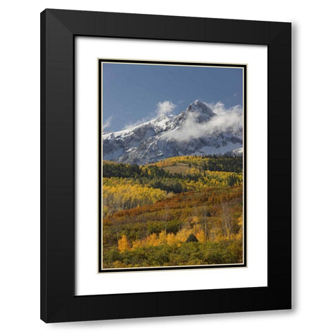 CO, San Juan Mts, Uncompahgre NF Autumn forest Black Modern Wood Framed Art Print with Double Matting by Grall, Don