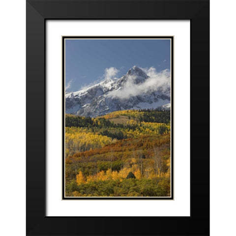 CO, San Juan Mts, Uncompahgre NF Autumn forest Black Modern Wood Framed Art Print with Double Matting by Grall, Don