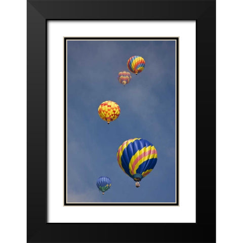 CO, Colorado Springs Hot air balloons in morning Black Modern Wood Framed Art Print with Double Matting by Grall, Don