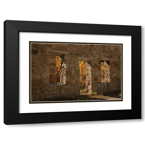 CO, Central City Aspen inside abandoned building Black Modern Wood Framed Art Print with Double Matting by Grall, Don