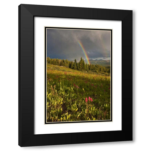 CO, Shrine Pass A sunset rainbow over meadow Black Modern Wood Framed Art Print with Double Matting by Grall, Don