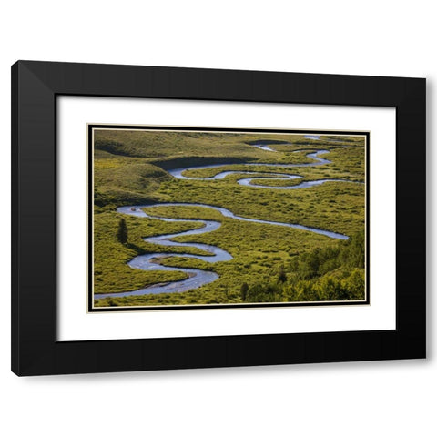 CO, Gunnison NF Uper East Rivers meandering Black Modern Wood Framed Art Print with Double Matting by Grall, Don