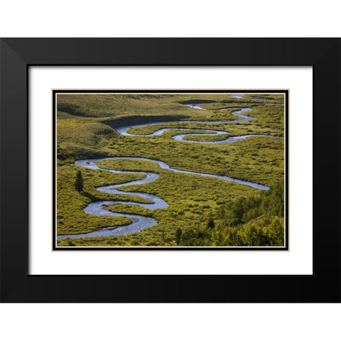 CO, Gunnison NF Uper East Rivers meandering Black Modern Wood Framed Art Print with Double Matting by Grall, Don