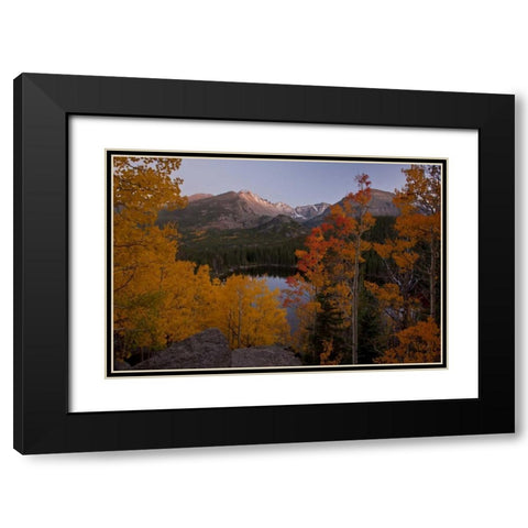 CO, Rocky Mts Aspen trees frame Longs Peak Black Modern Wood Framed Art Print with Double Matting by Grall, Don
