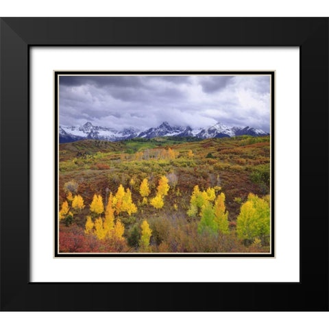 Colorado, Rocky Mountains, Autumn in the Rockies Black Modern Wood Framed Art Print with Double Matting by Talbot Frank, Christopher