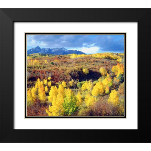 Colorado, Rocky Mountains, Autumn in the Rockies Black Modern Wood Framed Art Print with Double Matting by Talbot Frank, Christopher