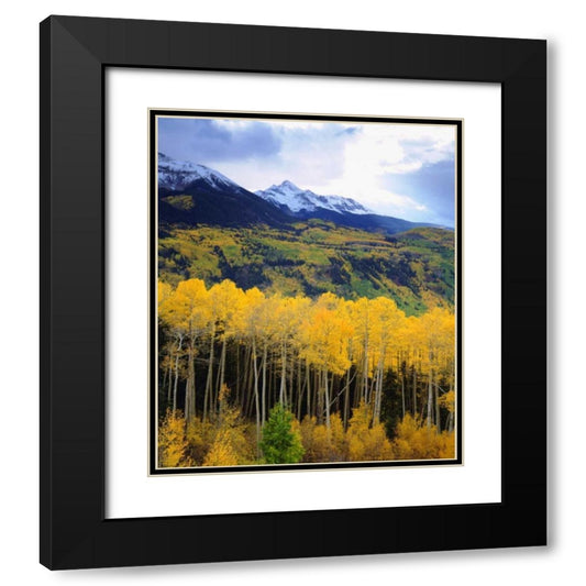 Perspective Image
