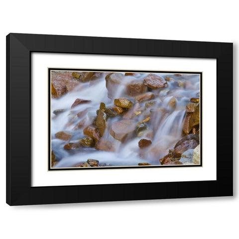 CO, Ophir Pass Waterfall cascades over rocks Black Modern Wood Framed Art Print with Double Matting by Illg, Cathy and Gordon