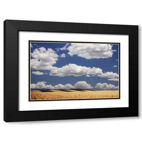 CO, Wheat fields in western part of state Black Modern Wood Framed Art Print with Double Matting by Flaherty, Dennis