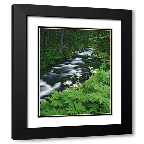 Colorado, White River NF Maroon Creek Black Modern Wood Framed Art Print with Double Matting by Flaherty, Dennis