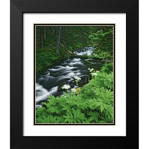 Colorado, White River NF Maroon Creek Black Modern Wood Framed Art Print with Double Matting by Flaherty, Dennis