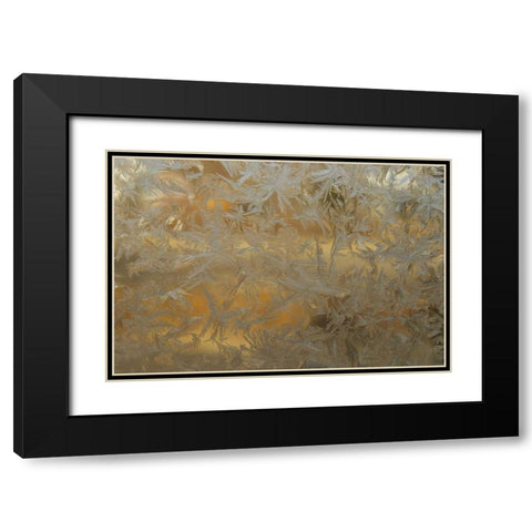 USA, Colorado Frost on window pane Black Modern Wood Framed Art Print with Double Matting by Illg, Cathy and Gordon