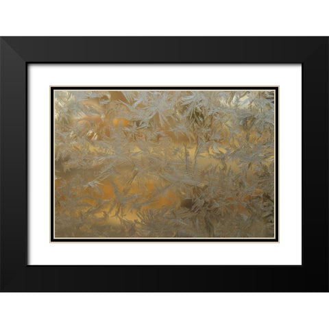 USA, Colorado Frost on window pane Black Modern Wood Framed Art Print with Double Matting by Illg, Cathy and Gordon