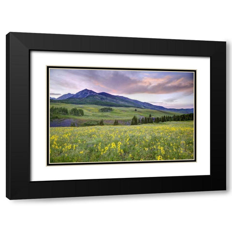 CO, Crested Butte Flowers and mountain Black Modern Wood Framed Art Print with Double Matting by Flaherty, Dennis