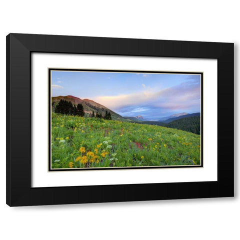 CO, Crested Butte Flowers and mountains Black Modern Wood Framed Art Print with Double Matting by Flaherty, Dennis