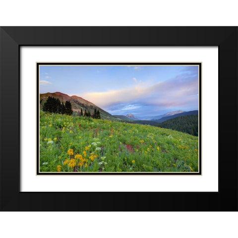 CO, Crested Butte Flowers and mountains Black Modern Wood Framed Art Print with Double Matting by Flaherty, Dennis