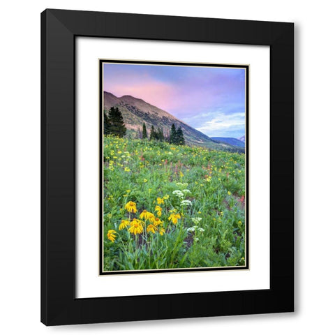 CO, Crested Butte Flowers and mountains Black Modern Wood Framed Art Print with Double Matting by Flaherty, Dennis