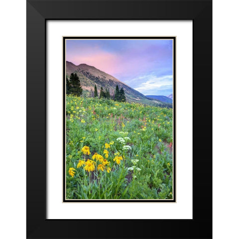 CO, Crested Butte Flowers and mountains Black Modern Wood Framed Art Print with Double Matting by Flaherty, Dennis