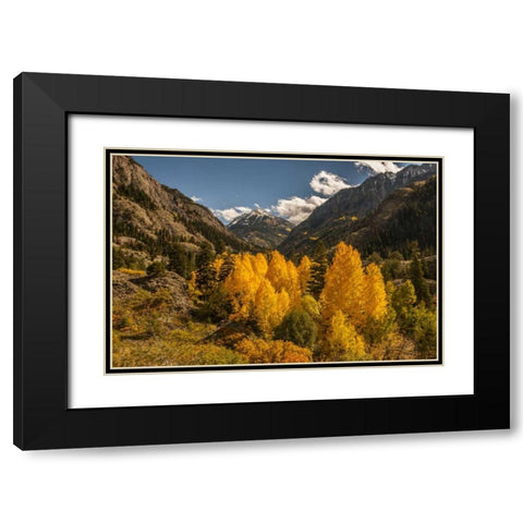 Colorado Autumn landscape in San Juan Mountains Black Modern Wood Framed Art Print with Double Matting by Illg, Cathy and Gordon