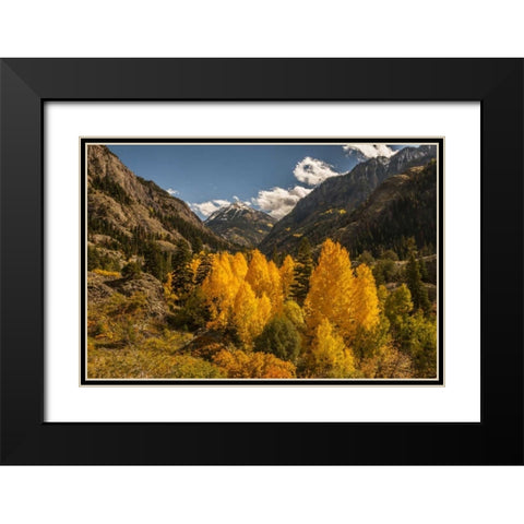Colorado Autumn landscape in San Juan Mountains Black Modern Wood Framed Art Print with Double Matting by Illg, Cathy and Gordon