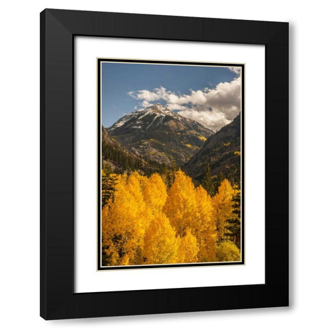 Colorado Autumn landscape in San Juan Mountains Black Modern Wood Framed Art Print with Double Matting by Illg, Cathy and Gordon