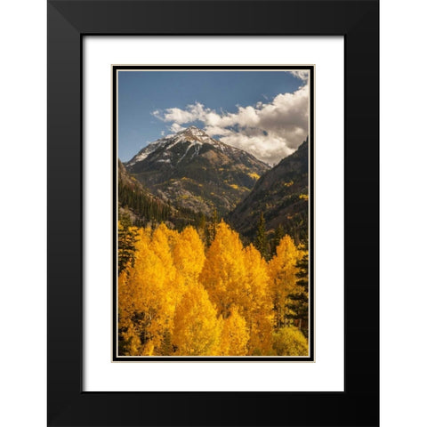 Colorado Autumn landscape in San Juan Mountains Black Modern Wood Framed Art Print with Double Matting by Illg, Cathy and Gordon