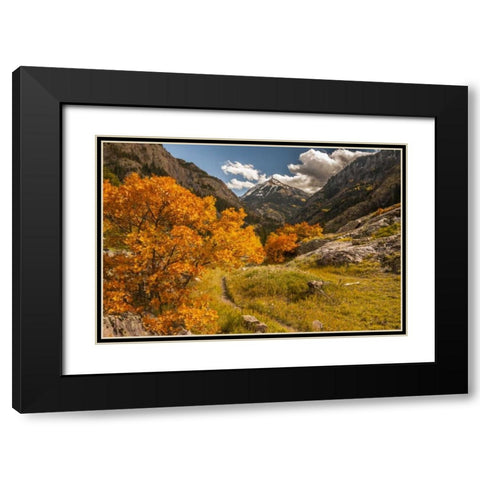 Colorado Autumn landscape in San Juan Mountains Black Modern Wood Framed Art Print with Double Matting by Illg, Cathy and Gordon