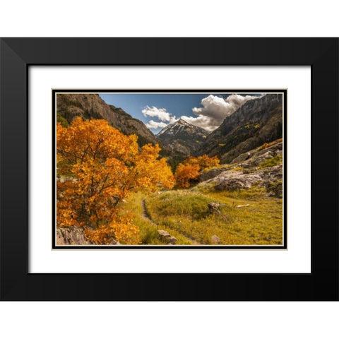 Colorado Autumn landscape in San Juan Mountains Black Modern Wood Framed Art Print with Double Matting by Illg, Cathy and Gordon