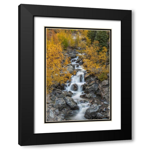 Colorado Cascading creek in San Juan Mountains Black Modern Wood Framed Art Print with Double Matting by Illg, Cathy and Gordon