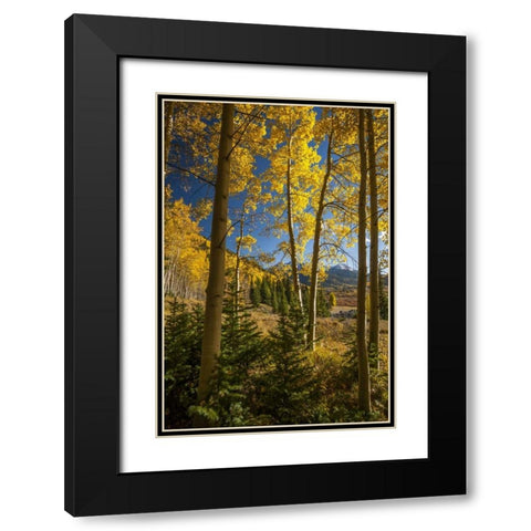 USA, Colorado Landscape in San Juan Mountains Black Modern Wood Framed Art Print with Double Matting by Illg, Cathy and Gordon
