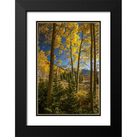 USA, Colorado Landscape in San Juan Mountains Black Modern Wood Framed Art Print with Double Matting by Illg, Cathy and Gordon