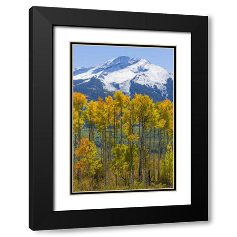 USA, Colorado Fall aspens and mountain Black Modern Wood Framed Art Print with Double Matting by Paulson, Don