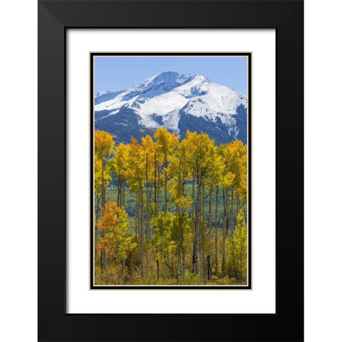 USA, Colorado Fall aspens and mountain Black Modern Wood Framed Art Print with Double Matting by Paulson, Don