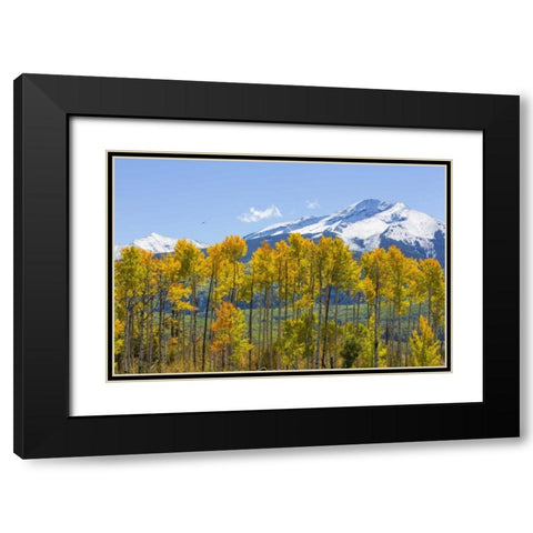 USA, Colorado Fall aspens and mountain Black Modern Wood Framed Art Print with Double Matting by Paulson, Don