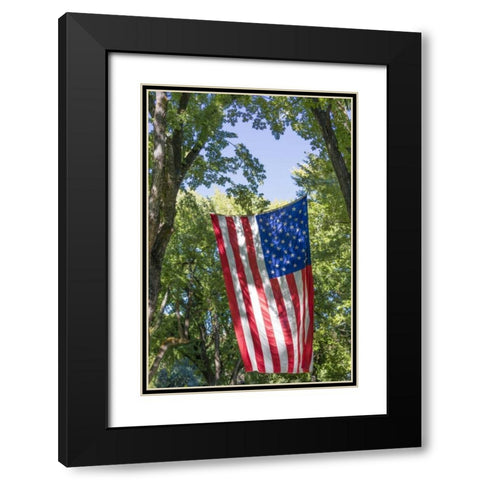 Colorado, Crawford Flag between two trees Black Modern Wood Framed Art Print with Double Matting by Paulson, Don