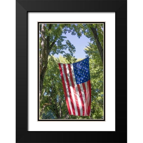 Colorado, Crawford Flag between two trees Black Modern Wood Framed Art Print with Double Matting by Paulson, Don